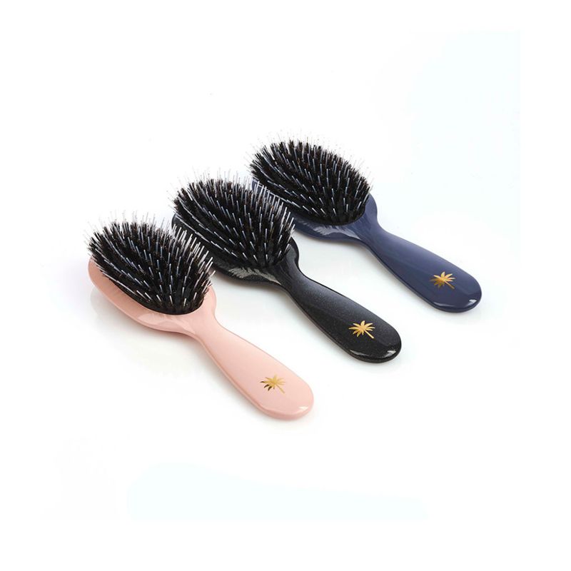 FAN PALM | HAIRBRUSH SMALL PARADISE 