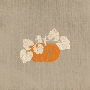 Hovedbilde FRANCOISE PAVIOT | SERVIETT PUMPKIN 